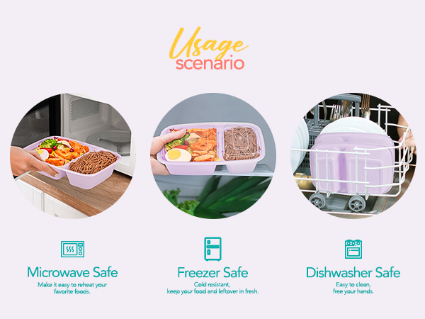 disposable lunch containers