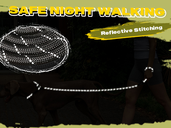 Slip Lead Dog Leash