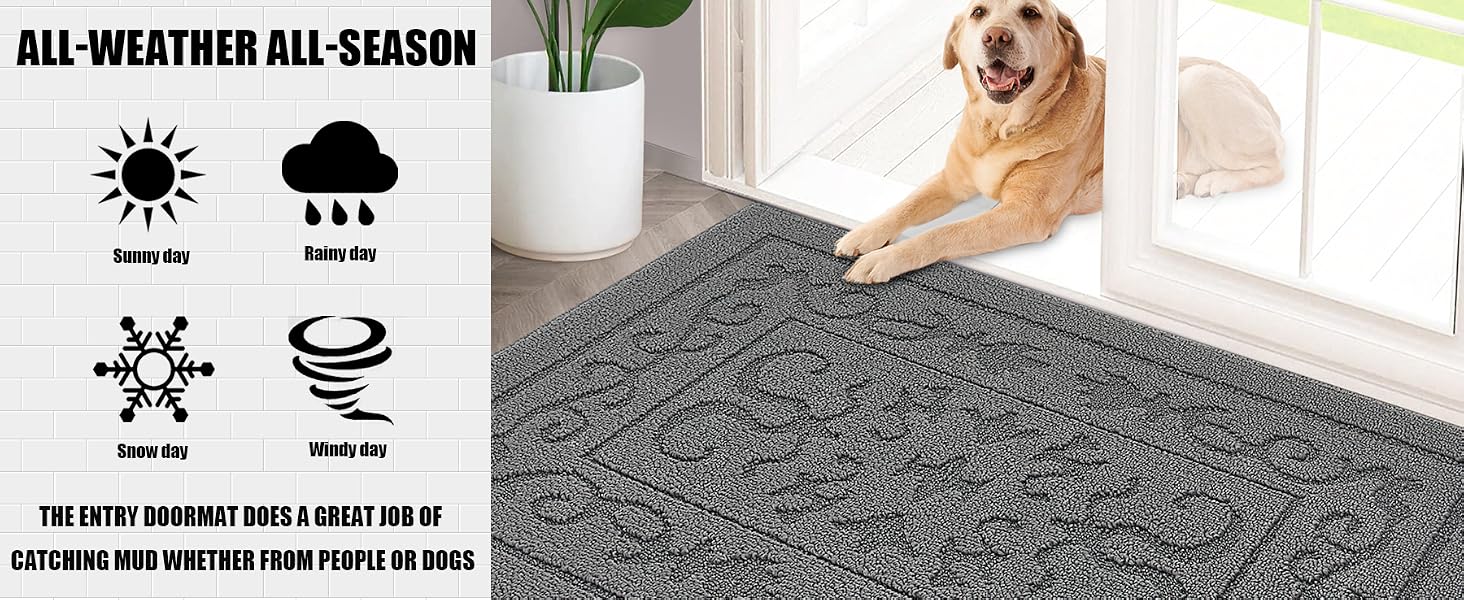 door rug indoor entrance