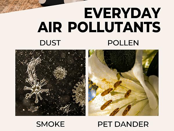 hepa air purifiers for home