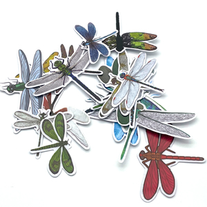 Dragonfly Static Window Decals for Bird Strikes