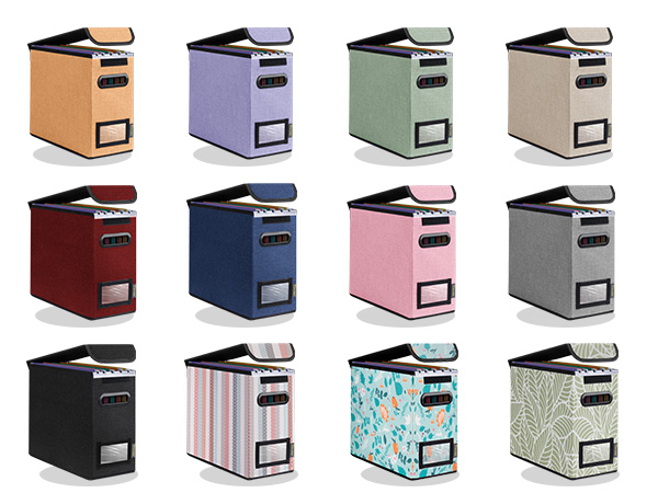 FILE ORGANIZER