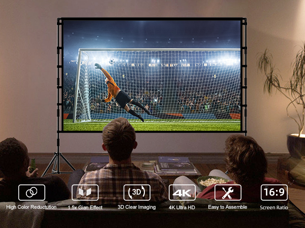 Projector Screen with Stand