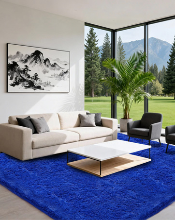 area rug
