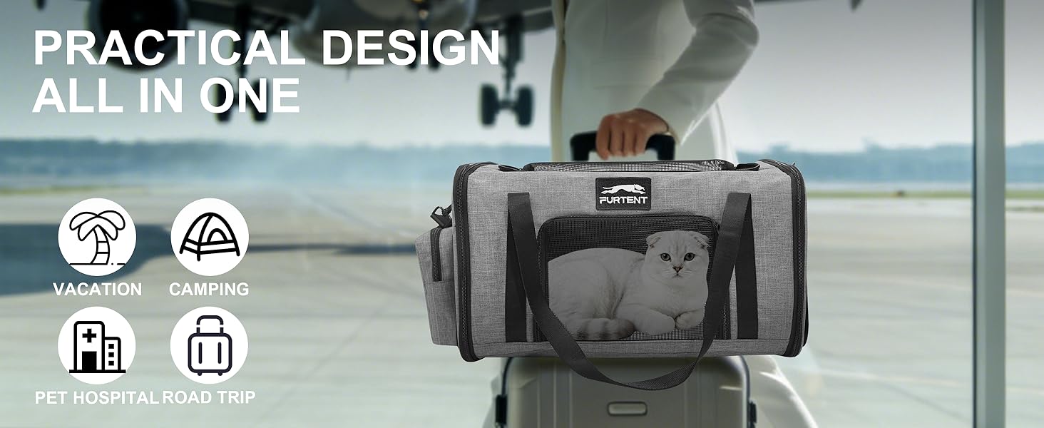 cat carrier grey