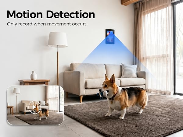 nanny hidden cam with Motion Detection