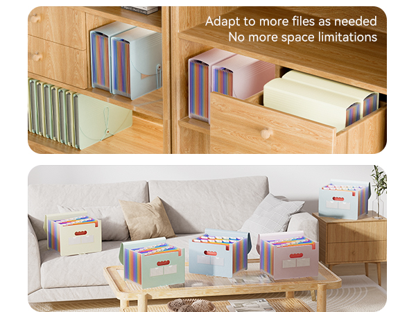 Accordion File Organizer, 12 - Pocket Expanding File Folders