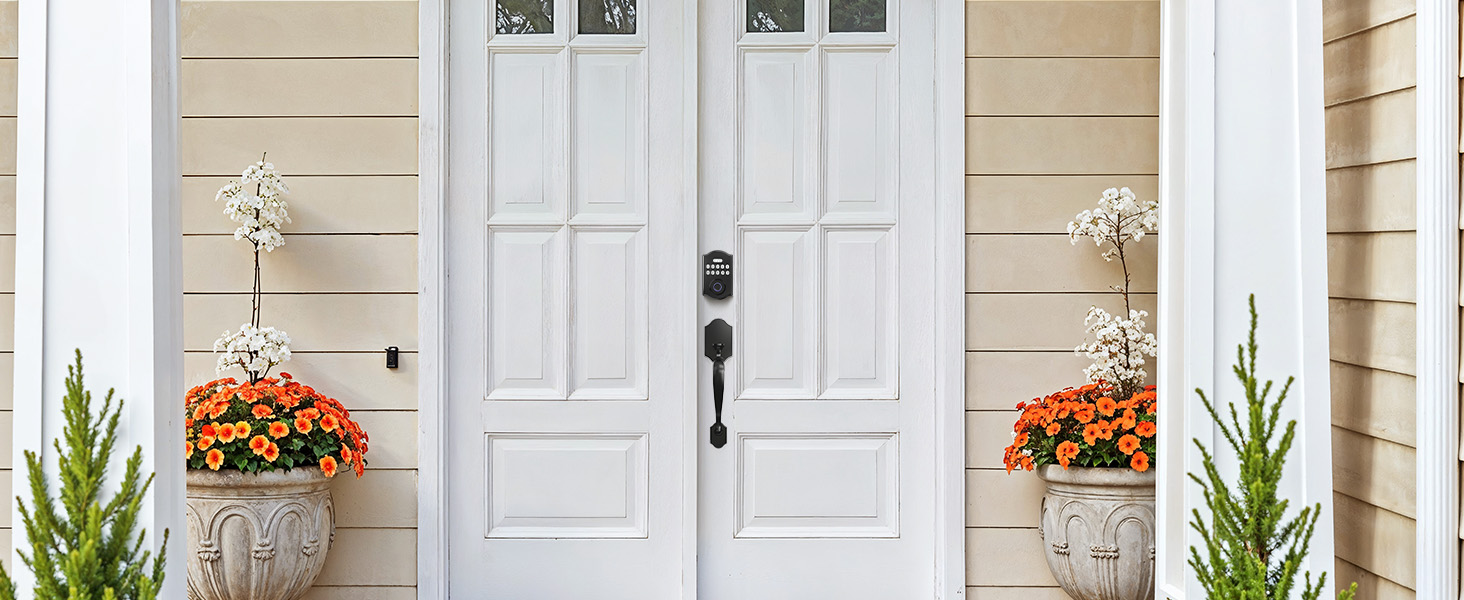 smart keyless entry door lock