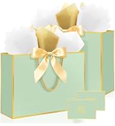 Ethhqu Fancy Large Gift Bags with Handles, 2 Pack 12.6x10x4 Inches - Includes Tissue Paper & Card...