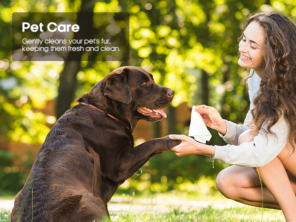 Pet Care