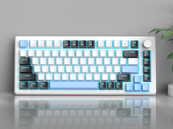 Vibrant Ice Blue Backlit