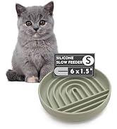 slobber stopper fresh flow filtered auto fountains waterer gallon flowing fuente hanging bottle