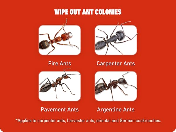 Ortho Bugclear. Wipe out ant colonies and control for 6 months. Includes fire ants.