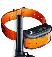 dog training collar
