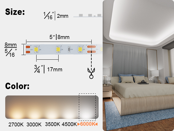 size of the strip lights