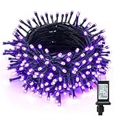 ODEETRONIC Purple Halloween Lights, 98.4ft 300 LED Purple String Lights, 8 Modes Halloween Light ...