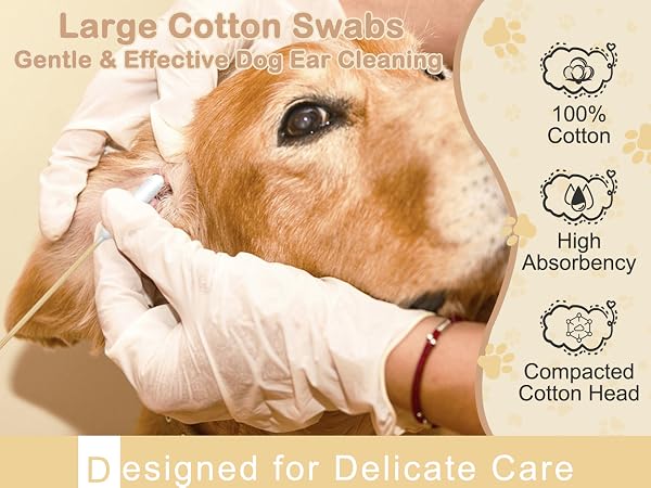 long cotton swabs
