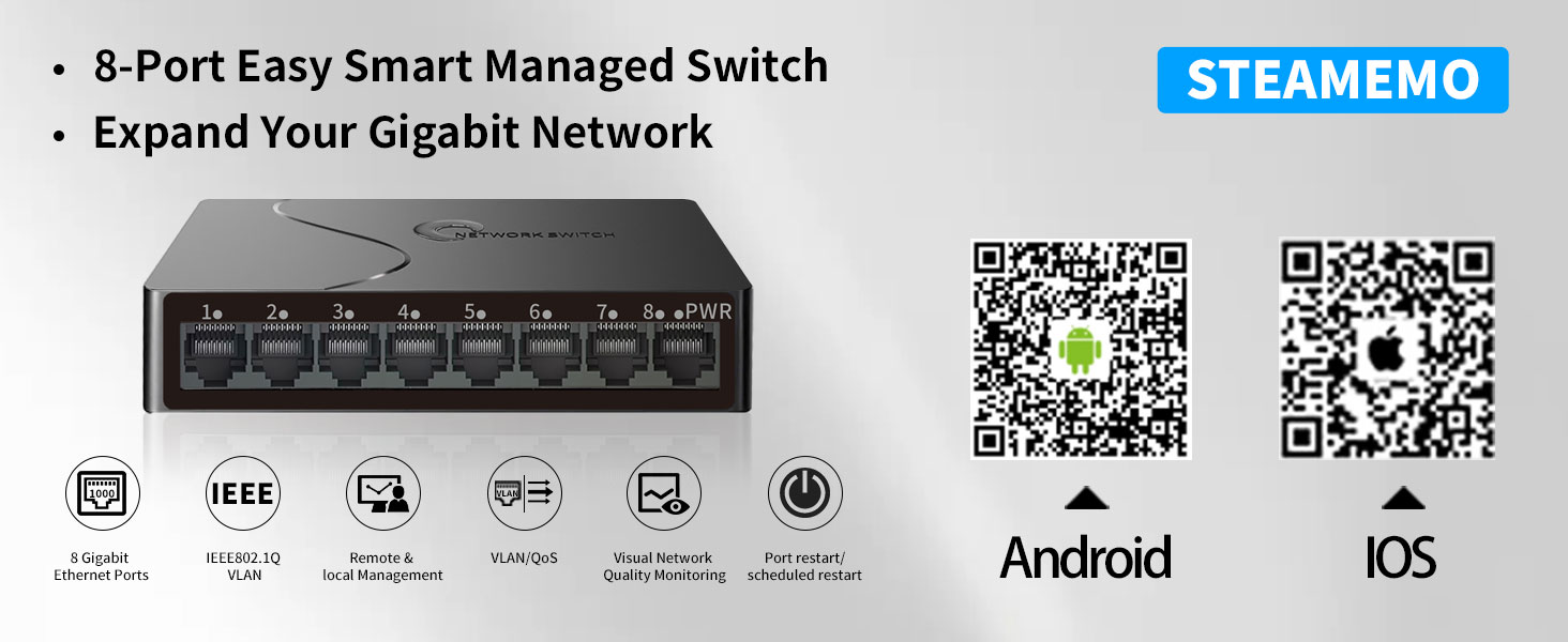 gigabit switch