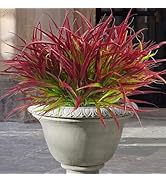 Uieke 12 Bundles Artificial Outdoor Plants UV Resistant Fake Grass Plants Faux Plastic Plants Gre...