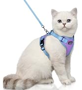 rabbitgoo Cat Harness and Leash Set, Escape Proof Soft Adjustable Vest Harnesses for Outdoor Walk...