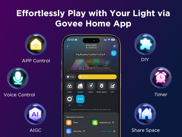 Govee outdoor string lights