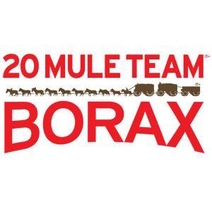 What on Earth is 20 Mule Team Borax?