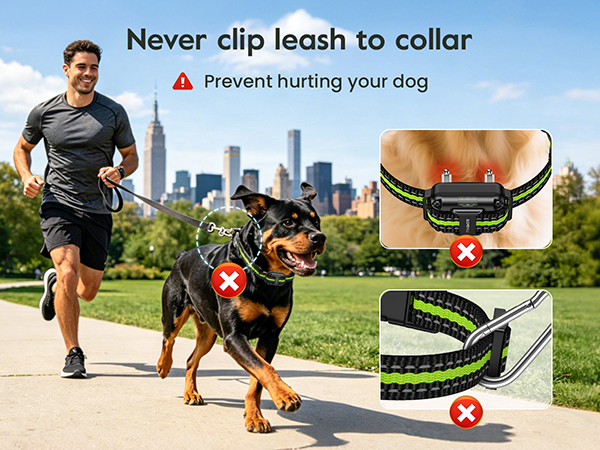 dog shock collar