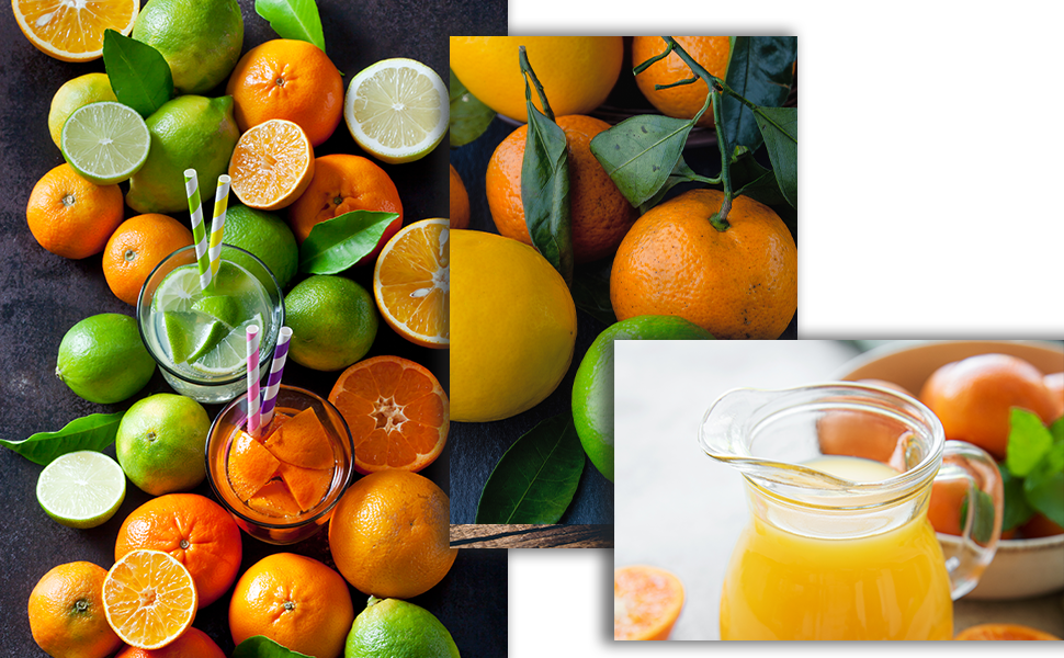 Citric Acid 1lb