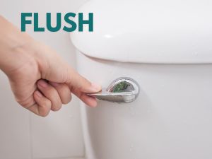 hand flushing toilet