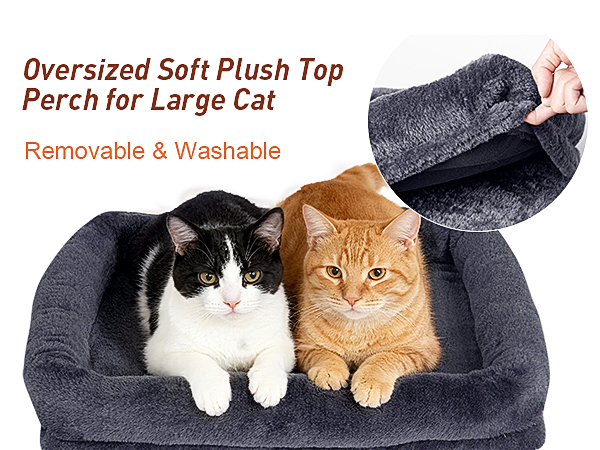 kinotai small cat tree indoor