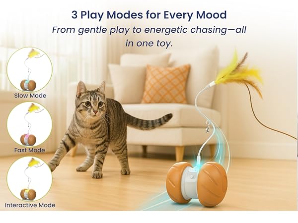 3 play modes cat toy