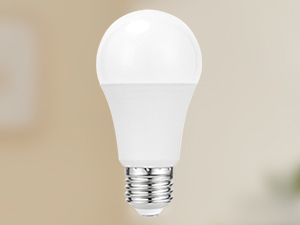 bulb