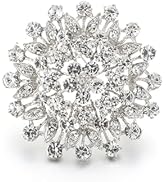 EVER FAITH Women's Austrian Crystal Elegant Flower Leaf Bridal Corsage Brooch Pin