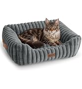 ZOMISIA Orthopedic Large Cat Bed with Removable Washable Cover, 25x21'' | Rectangle Dog Bed for S...