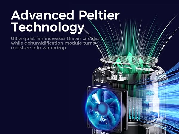 dehumidifier