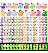160pcs Luminous Mini Christmas Resin Ducks Dollhouse Accessories Miniature Figurines to Hide Tiny...