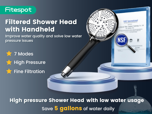 Filtered Shower Head