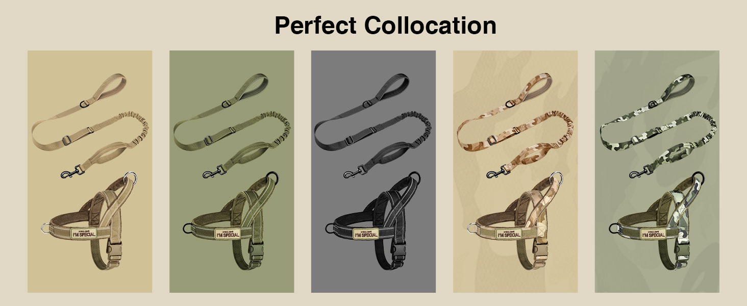 adjustable dog harness