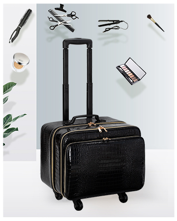 professional maekup case