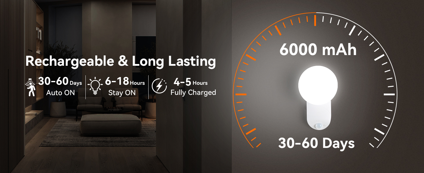 Motion Sensor Wall Light