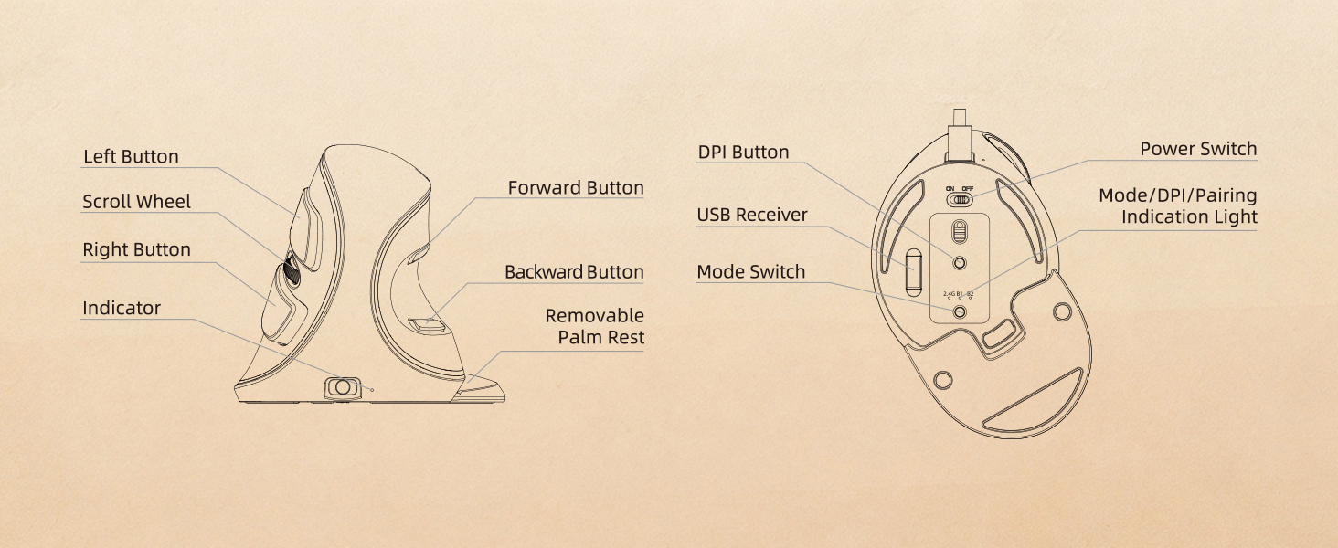 DELUX Wireless Ergonomic Vertical Mouse,Ergo Mouse for Large Hands (M618PD)