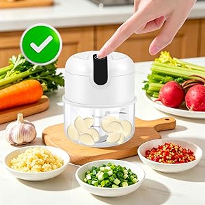 mini food processors