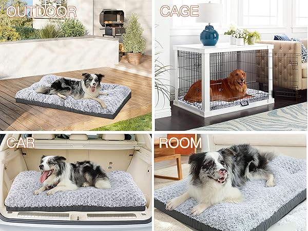 dog bed