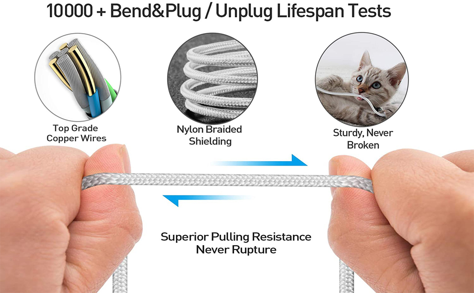 USB C to Lightning Cable