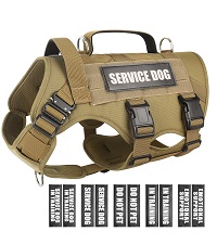 https://m.media-amazon.com/images/S/aplus-media-library-service-media/6d33140b-4411-4584-aa5d-779d907dfad3.__CR0,0,200,225_PT0_SX200_V1___.jpg