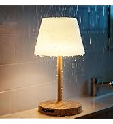 SAIWEYA Outdoor Waterproof Shower Lamp, 5200mAh Cordless Rechargeable Table Lamp with Touch Dimmi...