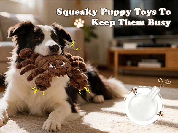 Squeaky Plush Dog Toy