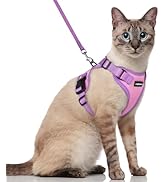 rabbitgoo Cat Harness and Leash Set, Escape Proof Soft Adjustable Vest Harnesses for Outdoor Walk...