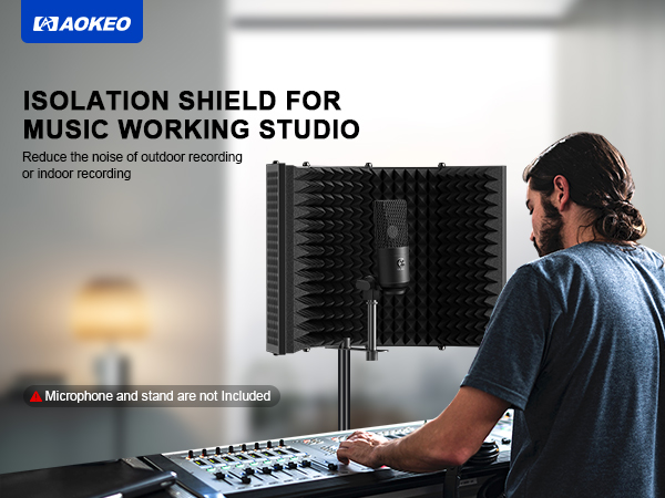 microphone filter