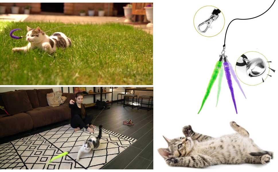 The fully extended cat wand plus string are long enough, which can cover a large space for playing.